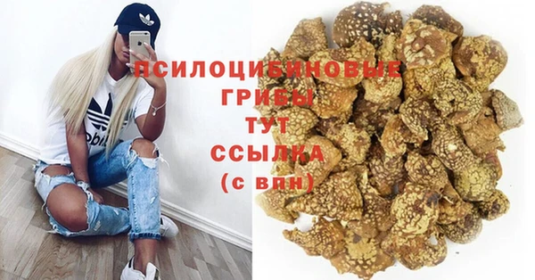 альфа пвп Бородино