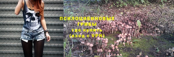 a pvp Бронницы